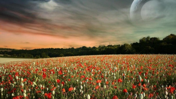 功夫游戏《师父》火了之后，为什么没能掀起做功夫题材的游戏的浪潮？